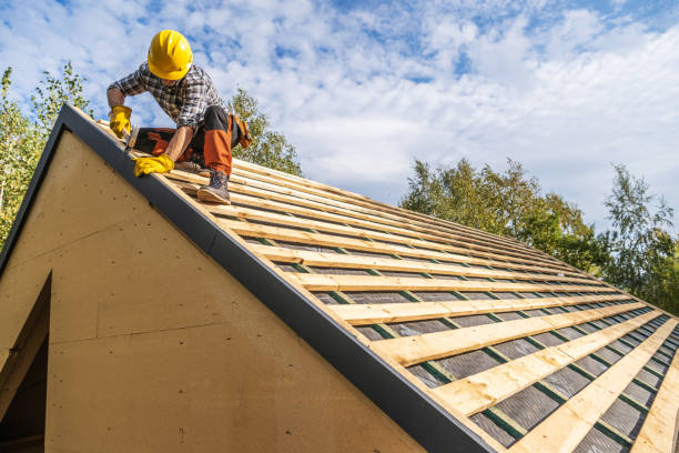 Best Roof Gutter Cleaning  in Twin Lakes, CA